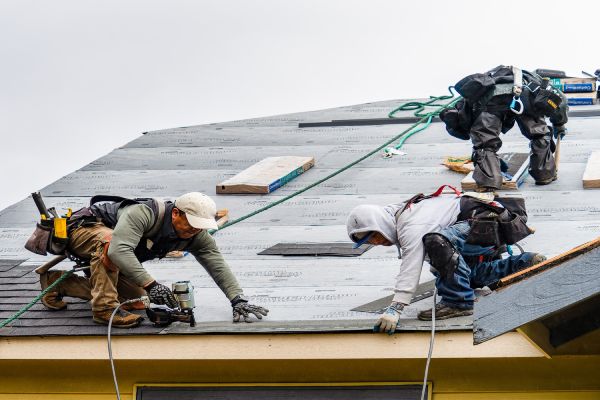 Roofing and Gutter Contractor